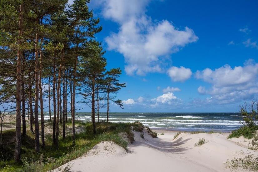 Apartamenty Przy Plazy - Willa For You Pobierowo Buitenkant foto